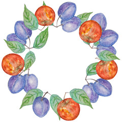 Watercolor round illustration with plums and apples.