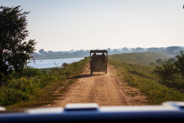 safari jeep driving off on a dirt road