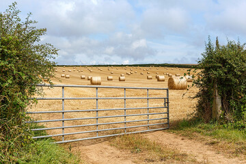 Bales of hay on a farm with summer blue sky background - harvest time in UK