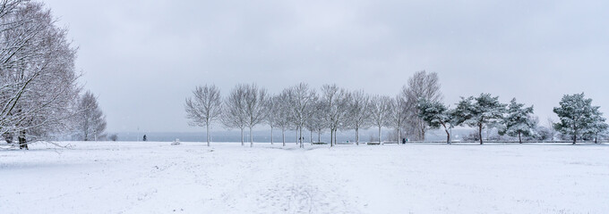 Snowy winter landscape at the Cospudener Lake in Leipzig
