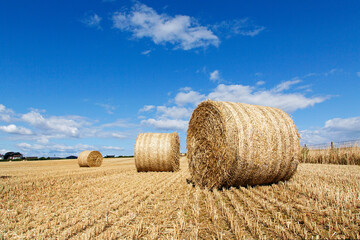 Bales of hay on a farm with summer blue sky background - harvest time in UK