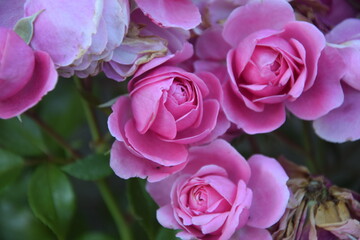 The beauty of nature!