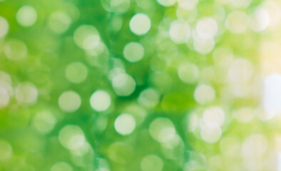 green bokeh abstract background