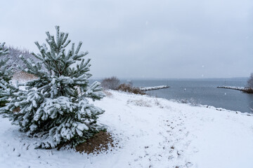 Snowy winter landscape at the Cospudener Lake in Leipzig