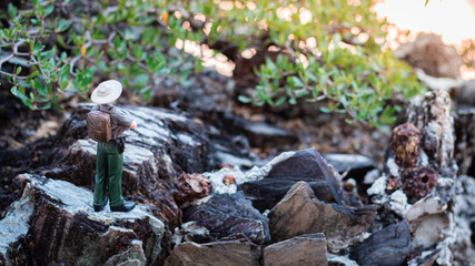 Miniature figure : A male explorer stands looking at the scenery and nature surrounding the tropical forest.