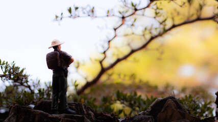 Miniature figure : A male explorer stands looking at the scenery and nature surrounding the tropical forest.