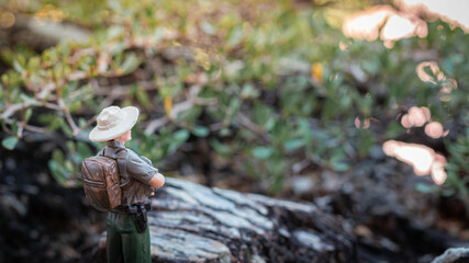 Miniature figure : A male explorer stands looking at the scenery and nature surrounding the tropical forest.