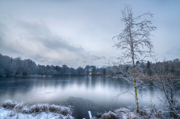 Freezer morning in the woods
