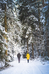 Snow covered forest theme with active seniors. Winter landscape of Styrian Austria