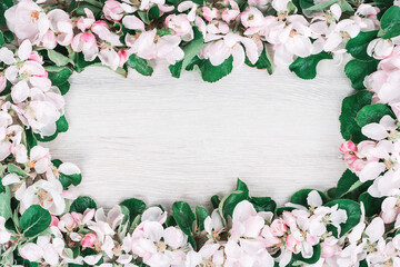 Spring border. blooming with white and pink flowers fruit tree branches frame on white wood. Flat lay mockup with copy space, freshness concept for invitation or celebration