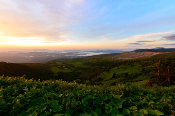 渋峠・芳ヶ平湿原