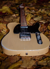 old vintage wooden Fender telecaster guitar on autumn leaf background