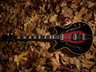 Orpheus, stylish vintage bass guitar on autumn leafs background 