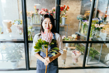 Florist asian woman on the work on flowers fridge background. Employee holding big pink protea flower for the bouquets on the shelves for storage. Floristics, small business, decoration concept.