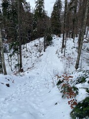 Bijele and Samarske rocks landscape in Gorski kotar, Croatia