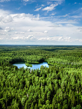 Top view of a forest lake.