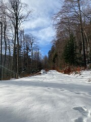 Bijele and Samarske rocks landscape in Gorski kotar, Croatia