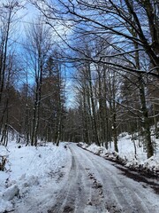 Bijele and Samarske rocks landscape in Gorski kotar, Croatia