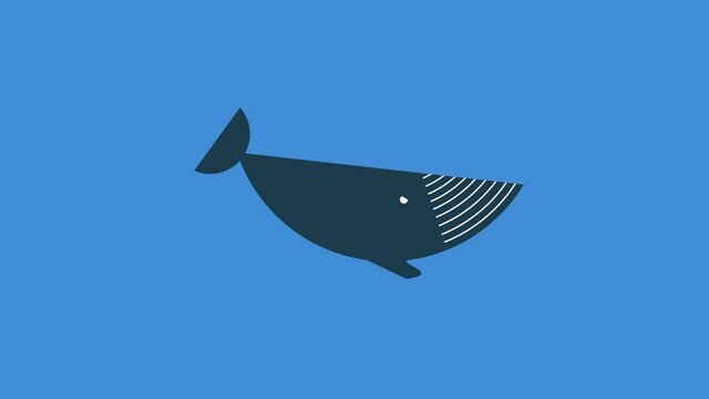 Big blue whale is swimming. Cartoon animation. Animation in 2D style. Whale is isolated on a blue background. Object moves its tail, fin, eye. Protection of the environment. Marine inhabitant.