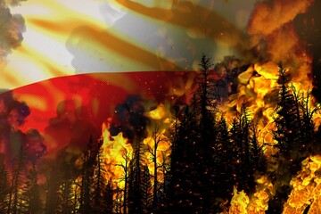 Big forest fire fight concept, natural disaster - infernal fire in the trees on Poland flag background - 3D illustration of nature