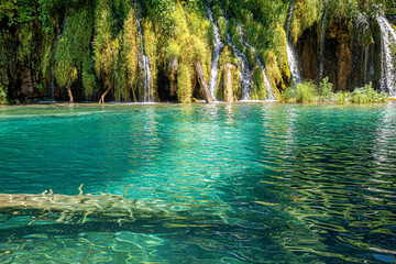 Fototapety na wymiar - Fototapeta24.pl