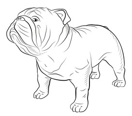 Animals, our faithful friends. Black and white image of a dog, coloring book for children.