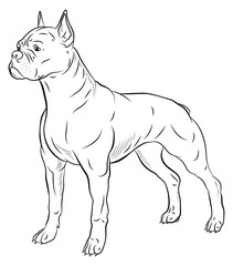 Animals, our faithful friends. Black and white image of a dog, coloring book for children.