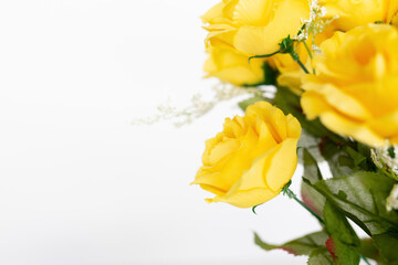 yellow roses flat lay against a white background