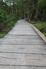 Obraz premium Wanderung, Holzsteg am Toblacher See