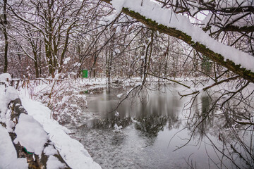 winter landscape with snow and a lake