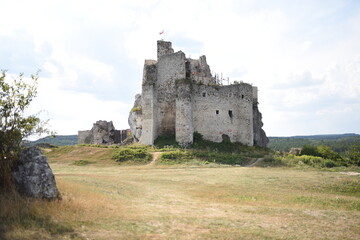 ruins of castle