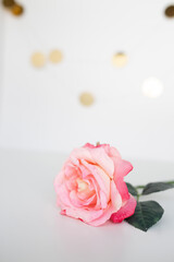 Fototapeta premium pink roses flat lay against a white background