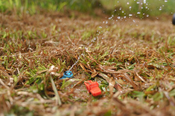 Busted and broken water pipe in yard.