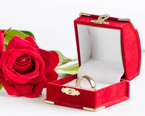 Wedding concept with rings and roses