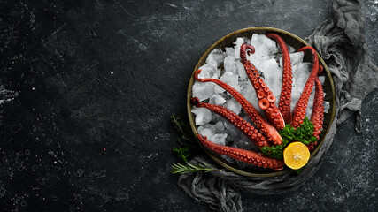 Octopus tentacles on ice. Seafood. Top view. Flat lay.