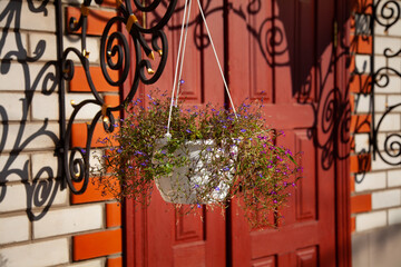 large horizontal photo. summer time. garden decor. hanging pot with small flowers. beautiful forging. burgundy wooden door. the entrance to the house is marked with flowers.