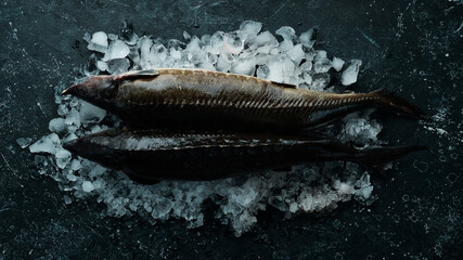 Sturgeon fish with lemon, rosemary and spices on ice. Top view. Flat lay.