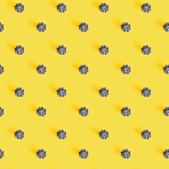 Top view of many echeveria succulents toned grey color on yellow, seamless background
