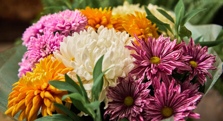 Cute charming smelling bouquet of garden flowers pink white and yellow. Beautiful bouquet of colorful aster flowers in close up, card for Valentines Day or International Womens Day on March 8.