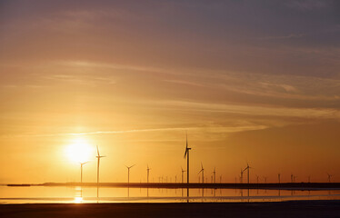 Fototapeta na wymiar Many of windmills on the Jarilgach island, Ukraine. Sunset time