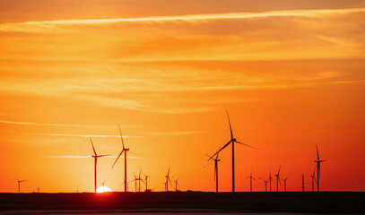 Obraz premium Many of windmills on the Jarilgach island, Ukraine. Sunset time