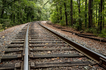 The Inviting Railroad Tracks