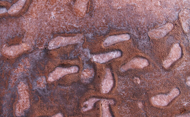 Top close up view of footprints on the sand of coast outdoors