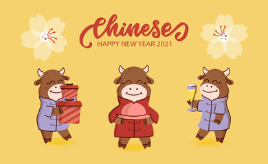 The set of vector illustrations with bull for Chinese Happy New Year 2021