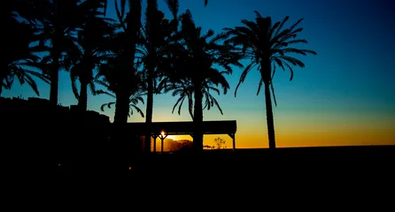 Fototapeten palmeras en la playa © Genarillo d´triana
