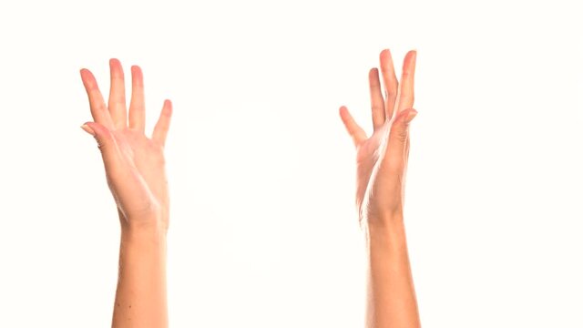 two female hands show palms on either side on a white background