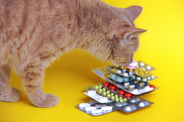 A red cat sniffs medicines that are stacked in a pyramid in blisters on a yellow background. Pet treatment concept. The health of cats. Veterinary services concept.