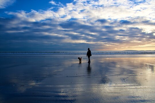 Silhouette of a person walking a dog on a beach at sunset