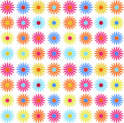 vector colorful multicolor seamless pattern. Gerbera flower. Chamomila flower endless  white background. Camomila,  yellow, red, blue, orange gerberas daisy flowers. chrysanthemum seamless pattern. 