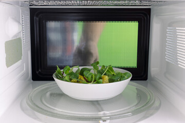 Young man heating food in the microwave. Green background for chroma key.